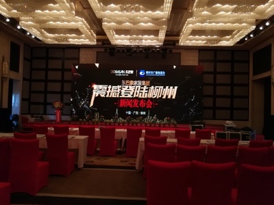 東巴象家裝集團柳州新聞發布會成功舉辦，引領家居定制新篇章