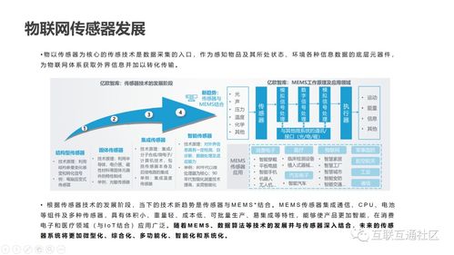 IT互聯網科技沙龍第二期圓滿落幕，聚焦網絡信息技術前沿動態